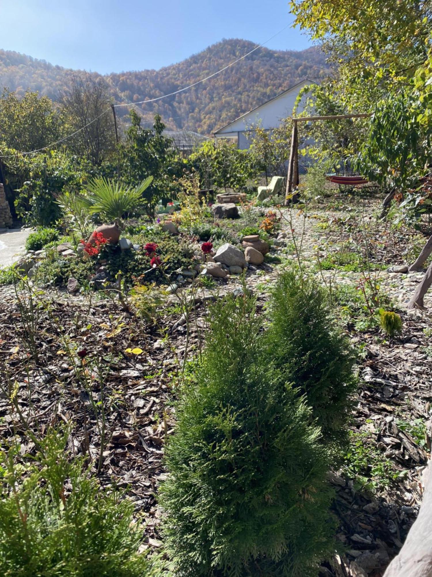 Green Park Guest House Dilijan Eksteriør bilde