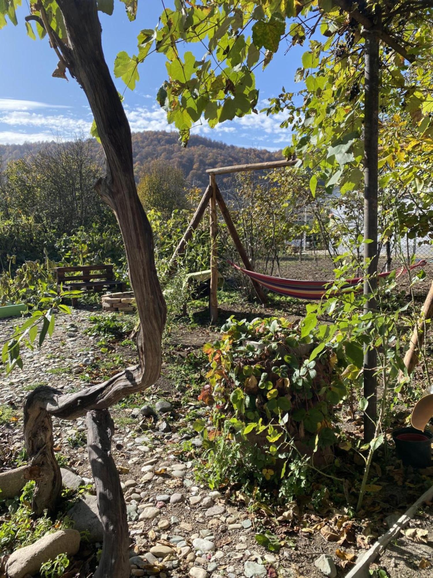 Green Park Guest House Dilijan Eksteriør bilde